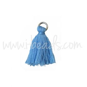Buy Mini pompom with blue ring 25mm (1)