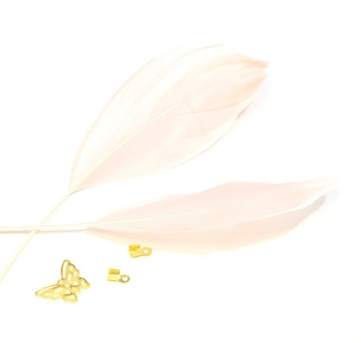 Acheter plumes naturelles colorées rose x2 ( 4-6 cm) créations manuelles, bijoux, décoration, scrapbooking