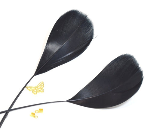 Buy natural feathers colored black x2 - ( 4-6 cm) manual creations, jewelry, decoration, scrapbooking