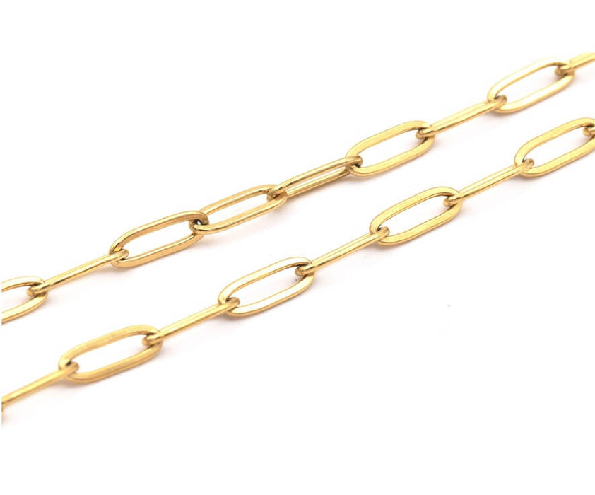 Trombone chain 12x4mm gold steel (50cm)